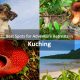 Best Spots for Adventure Retreats in Kuching